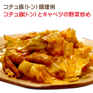 コチュ豚(豚)とキャベツの野菜炒め