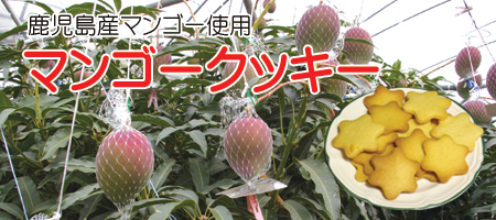 マンゴークッキー