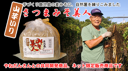 山芋いり 麦みそ さつまみそ美人