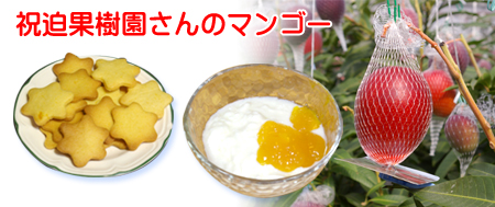 鹿児島産マンゴー商品