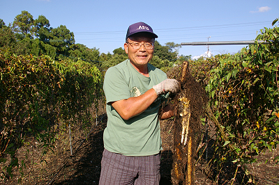 豊重さんと自然薯畑