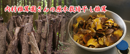 内村椎茸園さんの椎茸